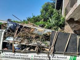 Best Same-Day Junk Removal Services  in Rainbow Park, FL